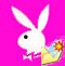 Video e immagini animate ! ! !