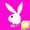 Video e immagini animate ! ! !